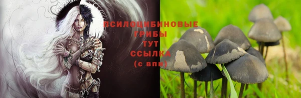 ПСИЛОЦИБИНОВЫЕ ГРИБЫ Беломорск