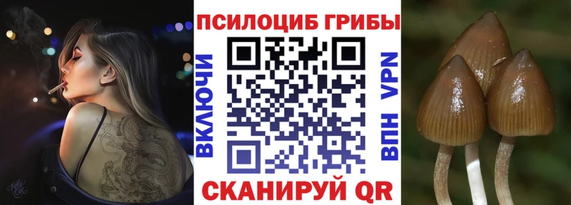 Галлюциногенные грибы MAGIC MUSHROOMS  купить наркотики сайты  Щигры 